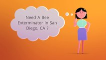 OCP Bee Removal San Diego CA - Bee Exterminator