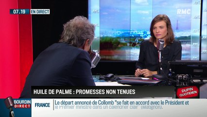 Dupin Quotidien : Les promesses non tenues sur l'huile de palme - 19/09