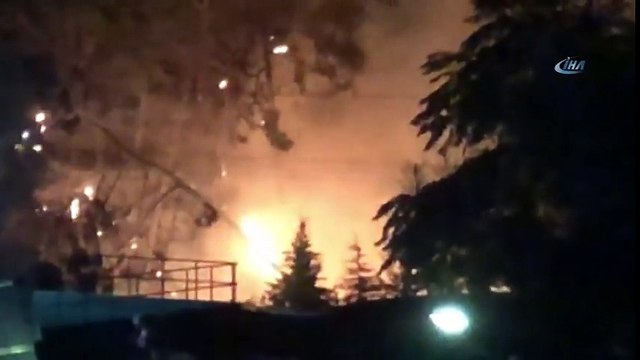 Alanya'da Elektrik Tellerinin Üzerine Devrilen Çam Ağaçları Yangına Sebep Oldu