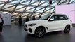 2019 BMW X5 - The World Best SUV! (A Fantastic Machine)