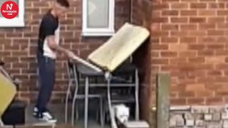 He Was Caught Beating His Dog With A Pole, But He Walks Free From Court!