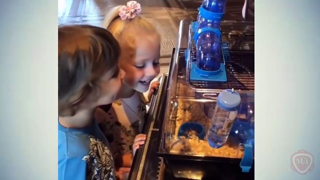 ГАРРИ И ЛИЗА ГАЛКИНЫ: Нам сегодня ровно ПЯТЬ! Подарки от родителей!