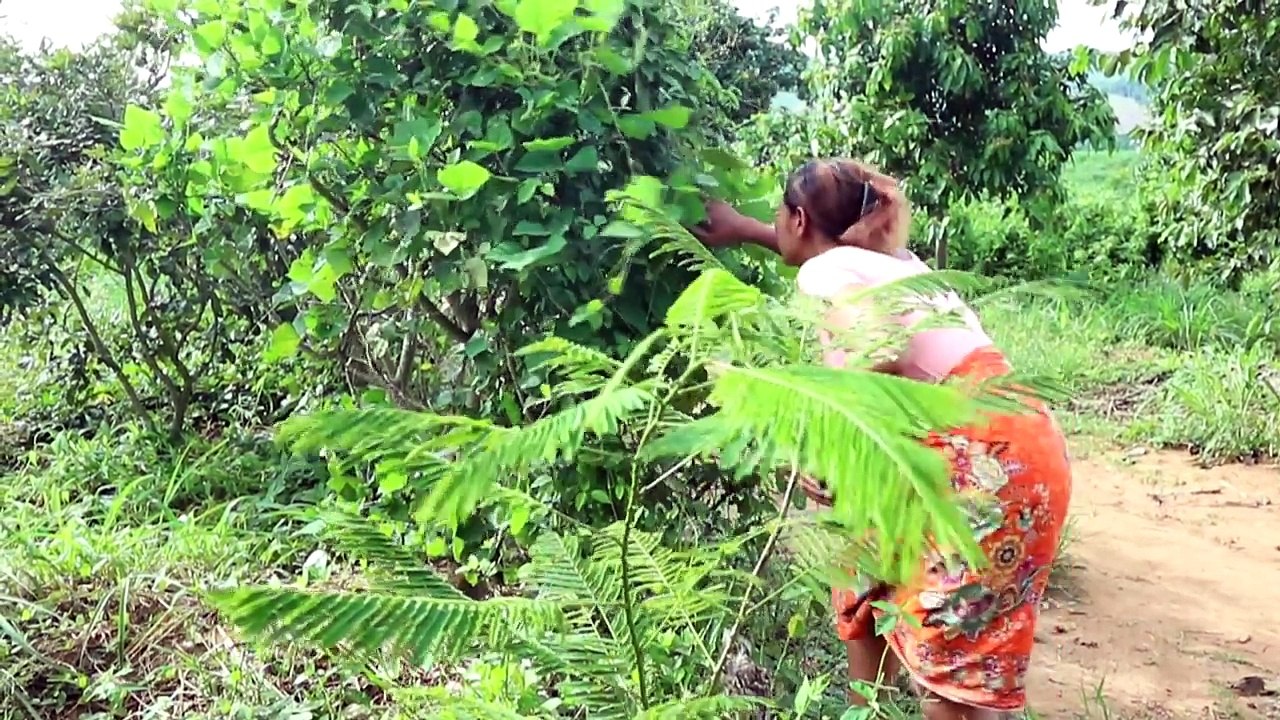 Survival skills: Find insects on tree grilled on clay for food - Cooking insects eating delicious