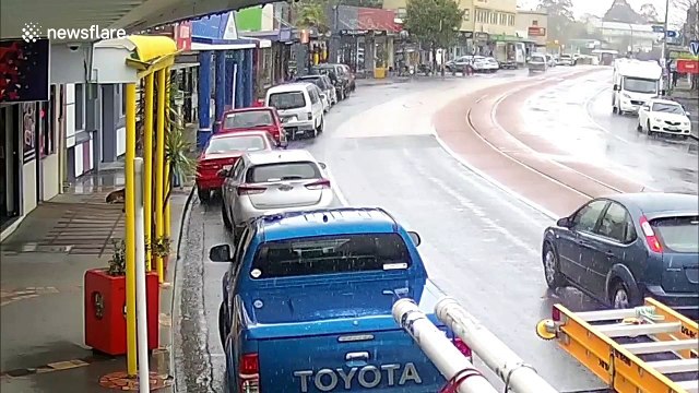 New Zealand woman chases pet dog attached to flag in hot pursuit