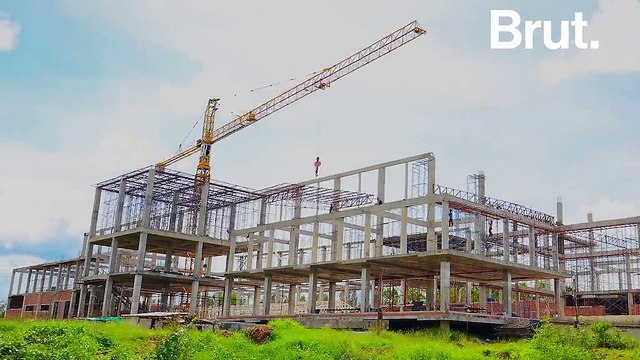 Isolation, alimentation, textile… Le chanvre, une plante aux fonctions stupéfiantes