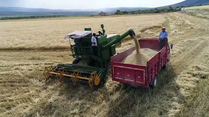 Bulgur üreticilerinin 'kurutma' mesaisi - GAZİANTEP