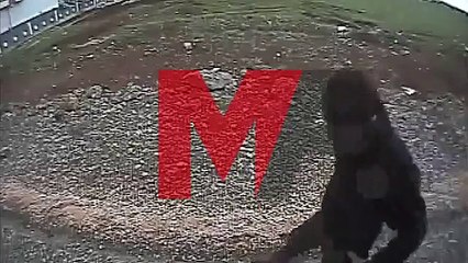 Newroz kutlamasında polisin öldürdüğü Kemal Kurkut dosyasında yeni gelişme