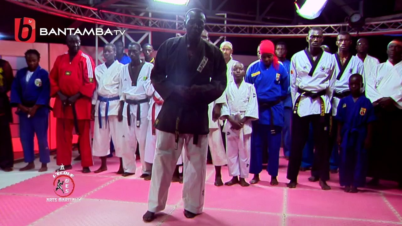 À L'ÉCOLE DES ARTS MARTIAUX DU 18 SEPTEMBRE 2018 AVEC SENSEÏ ALIOUNE SARR