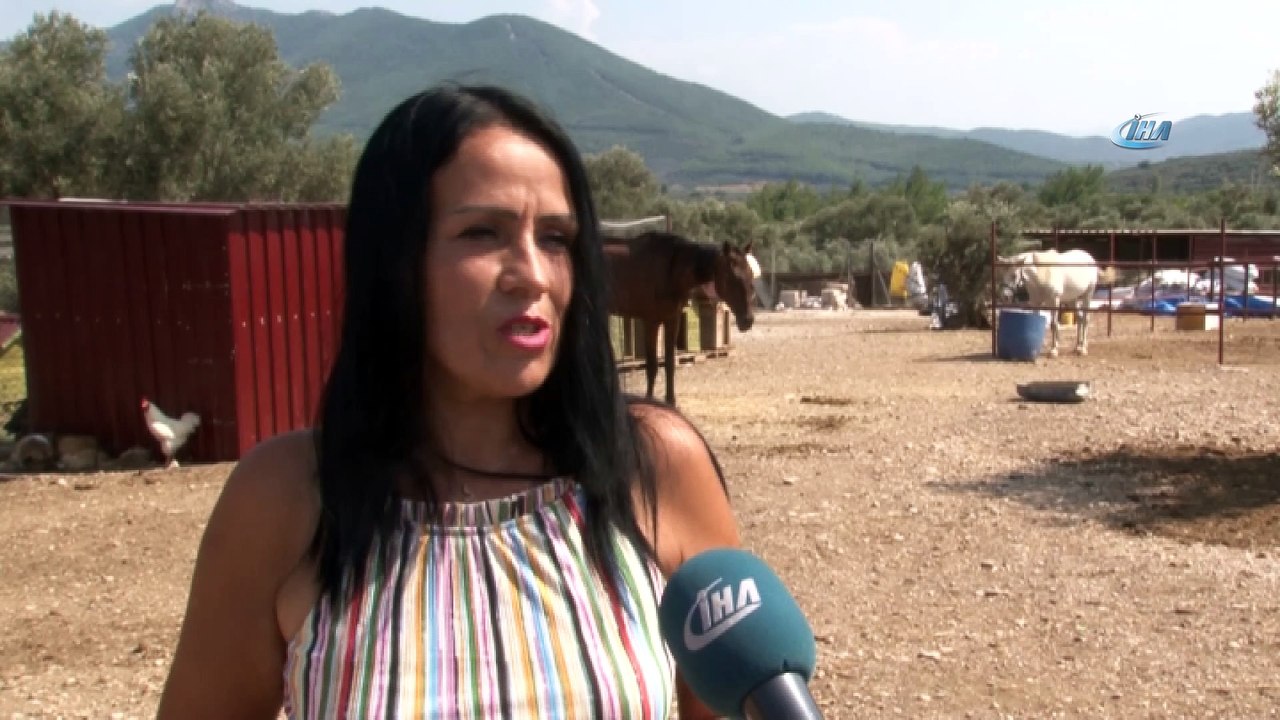 Bu çiftlik; ölüme terk edilmiş, şiddete ve cins...