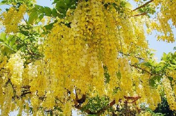 കേരളത്തിലെ അടുത്ത അത്ഭുത പ്രതിഭാസം ! | Oneindia Malayalam