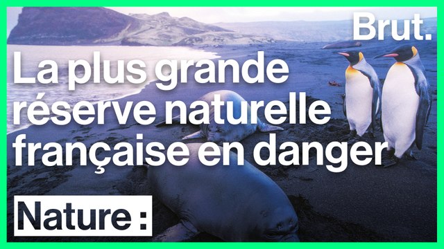 La plus grande réserve naturelle française