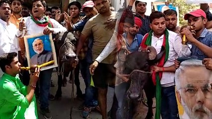 यूपी: डीजल पेट्रोल को लेकर छात्रसंघ का विरोध, पीएम मोदी के फोटो के सामने बीन बजा किया प्रदर्शन