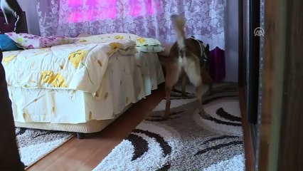 Antalya'da helikopter destekli uyuşturucu operasyonu