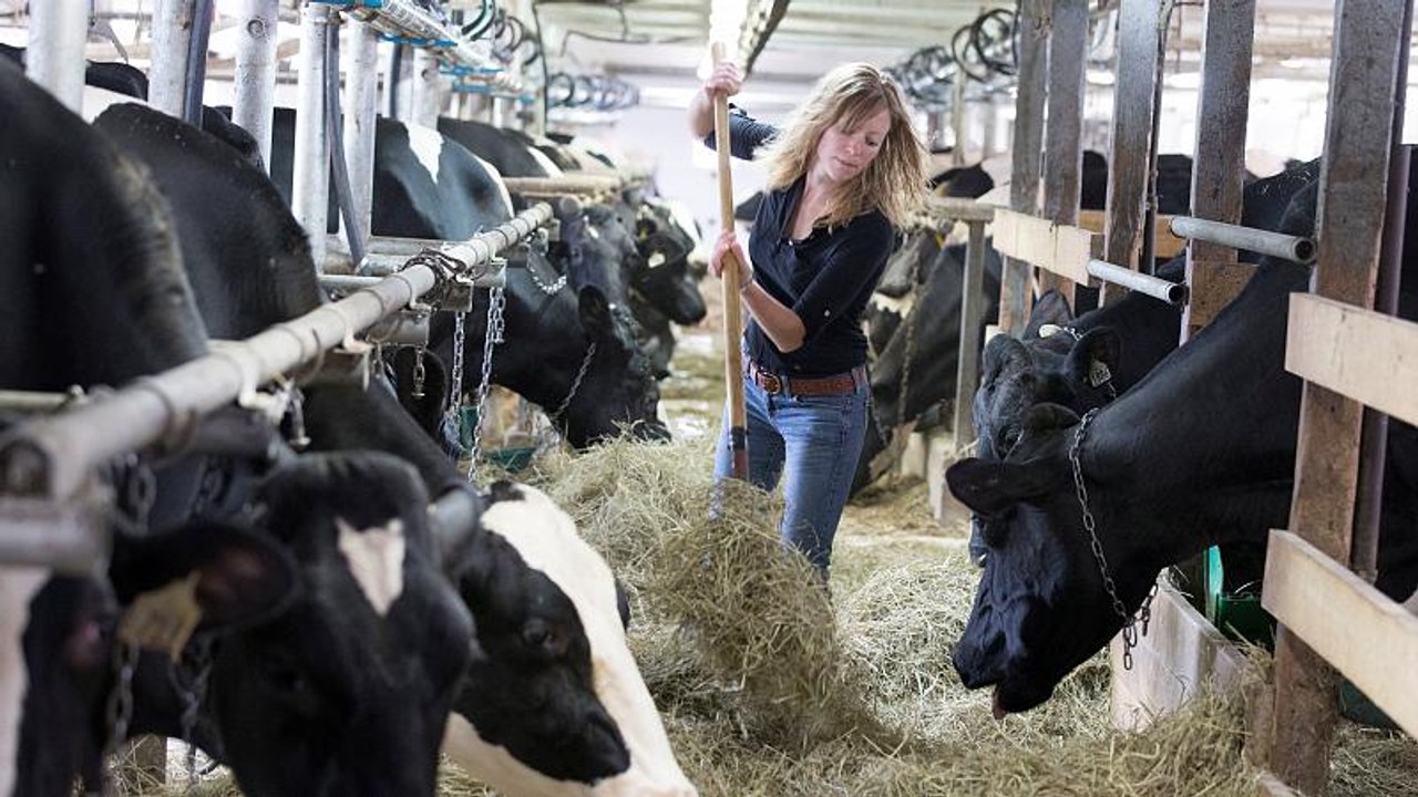'Fair-Food'-Referendum: Schweizer streiten ums Essen