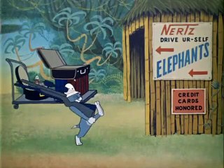 Tom and Jerry 125 - Sorry Safari
