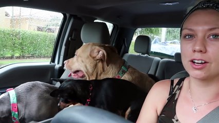 MOVING ALL MY PETS TO OUR NEW HOUSE! WE BOUGHT A HOUSE!