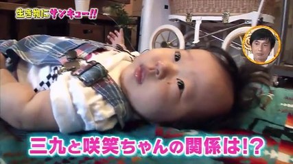 トコトン掘り下げ隊!生き物にサンキュー!! 2018年09月19日【犬・ネコを飼うということ】