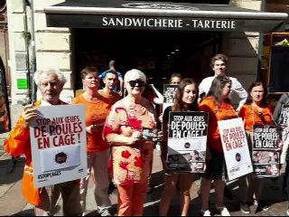 Les militants de L214 manifestent devant une boulangerie Marie Blachère à Avignon