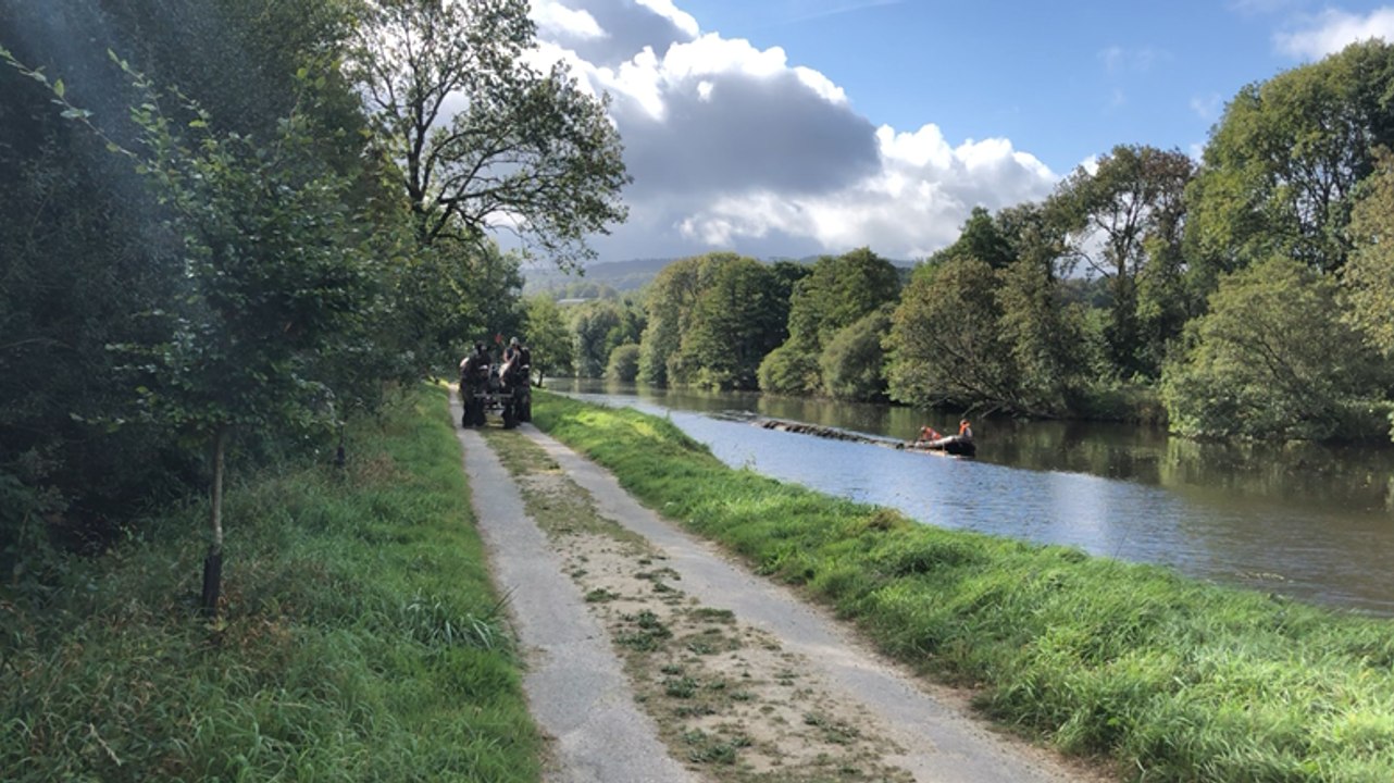 Les chevaux du Smatah halent les deux troncs d’arbre sur l’Aulne canalisée