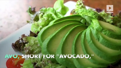 840 New Words Added to Merriam-Webster Dictionary