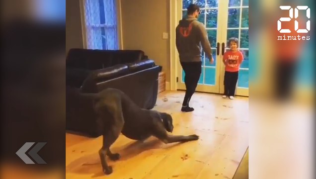 Ce chien imite son maître à la perfection - Le Rewind du mercredi 19 septembre 2018