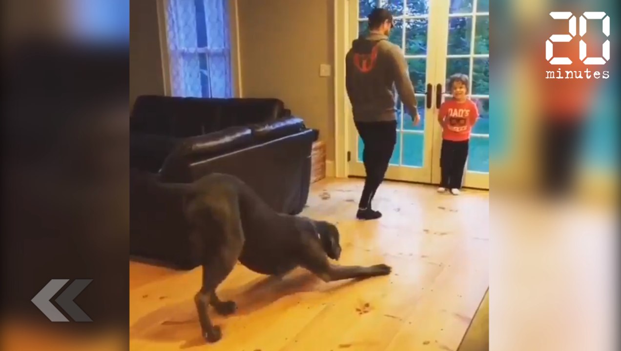 Ce chien imite son maître à la perfection - Le Rewind du mercredi 19 septembre 2018