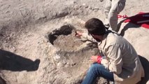Kayseri Anadolu'da 10 Milyon Yıl Önce Yaşamış Fil Fosillerini Çoban Buldu