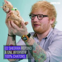 Ed Sheeran répond à une interview avec des chatons