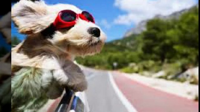 공주출장안마 010s7326s7786 신용후불제 공주출장마사지 최고미녀대기중 마인드최고 교육철저 공주출장맛사지 내상절대불가 수질최한 안전한신용후불제 20대아가씨대기중 극한수위 특별한서비스