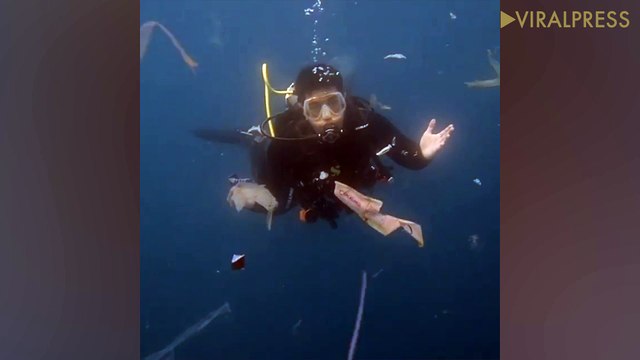 Scuba Diver Swims Through Plastic Pollution