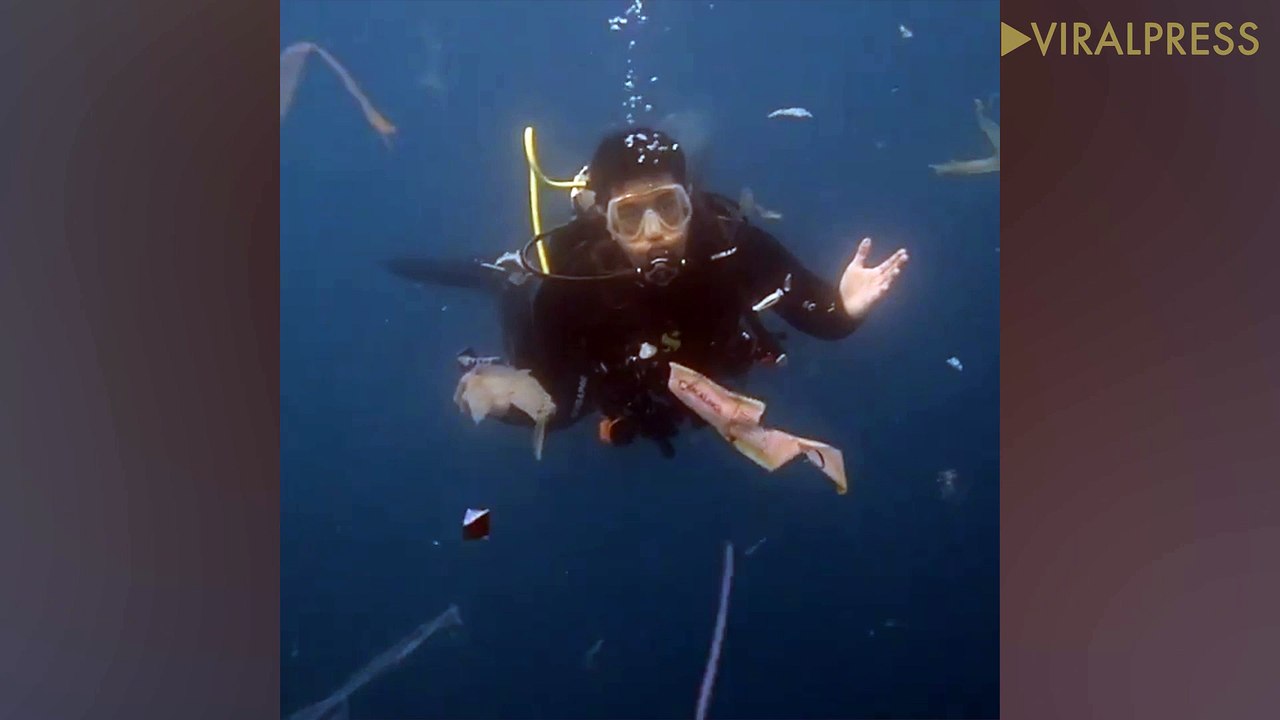 Scuba Diver Swims Through Plastic Pollution