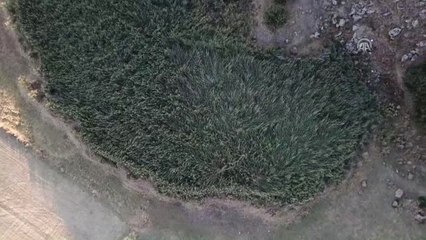 Kağızman'da Kaybolan 9 Yaşındaki Sedanur'u Arama Çalışmaları Sürüyor