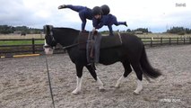 Horse Vaulting Proves Therapeutic for These Kids