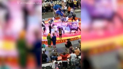 شاهد: جمل هائج يقتحم أحد عروض السيرك بالولايات المتحدة
