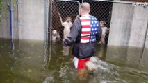 Rescatan a varios perros atrapados tras el huracán Florence