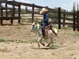 GIDDYUP! Tiny cowboy rides burro best friend - ABC15 Digital