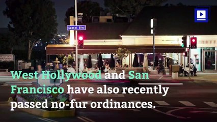 Los Angeles City Council Moves to Ban Sale of Fur