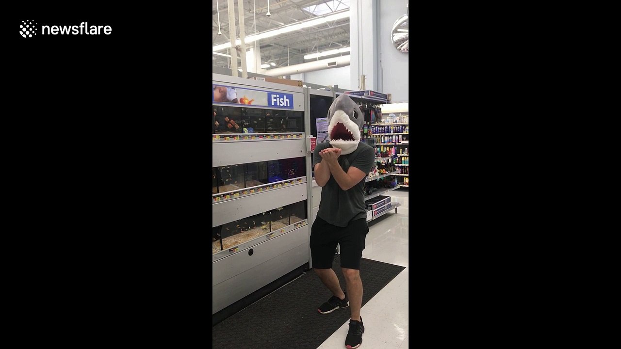 Epic 'baby shark' challenge in Walmart