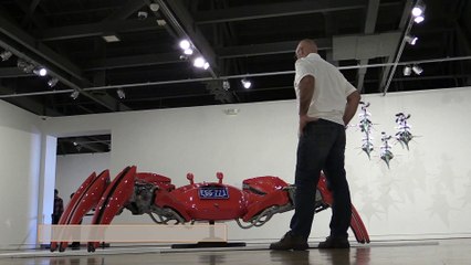 Cristian Castro, un argentino que convierte la basura en arte