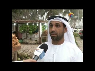 أخبار الدار "صلالة تستقطب الالآف من السواح الإماراتيين " 1