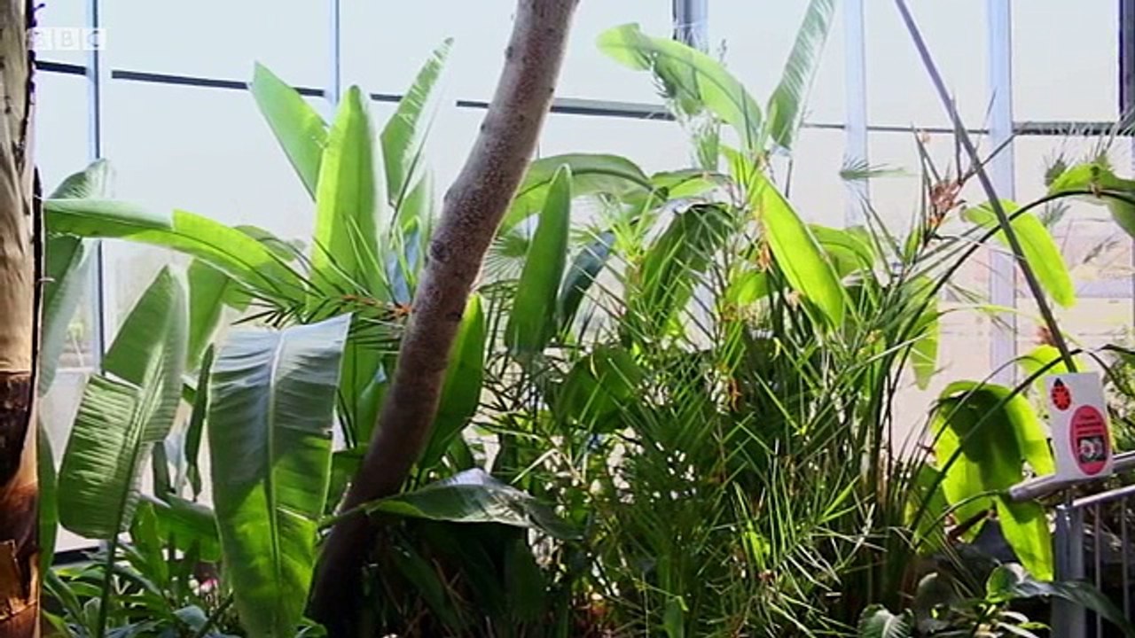 The Instant Gardener S02 E03