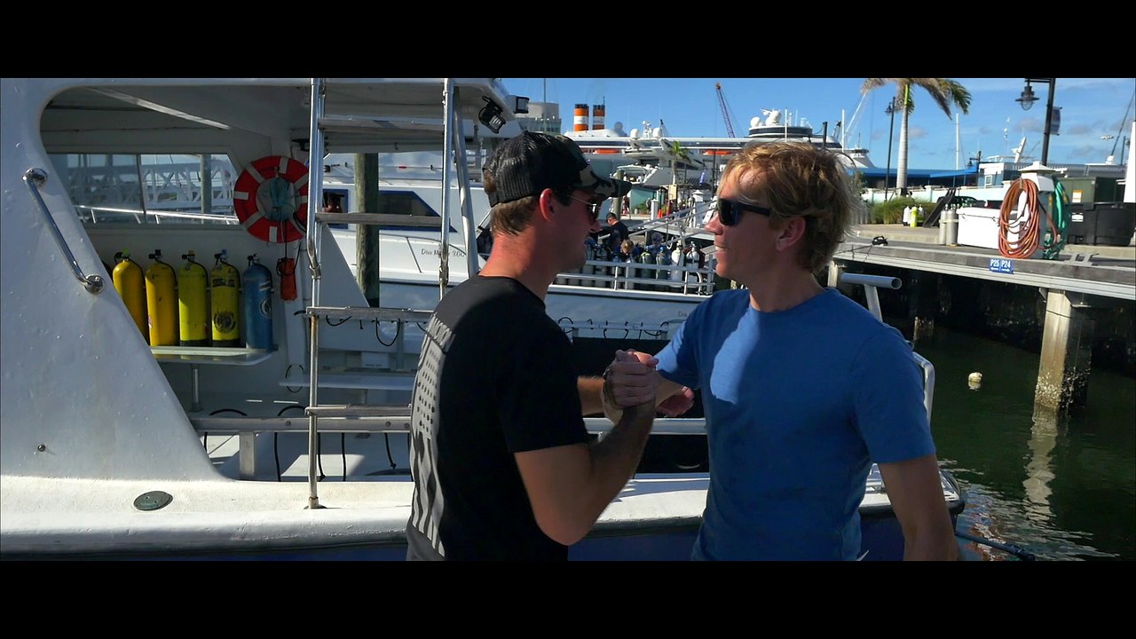 Citizen Dive Watch: Promaster 200m Diver