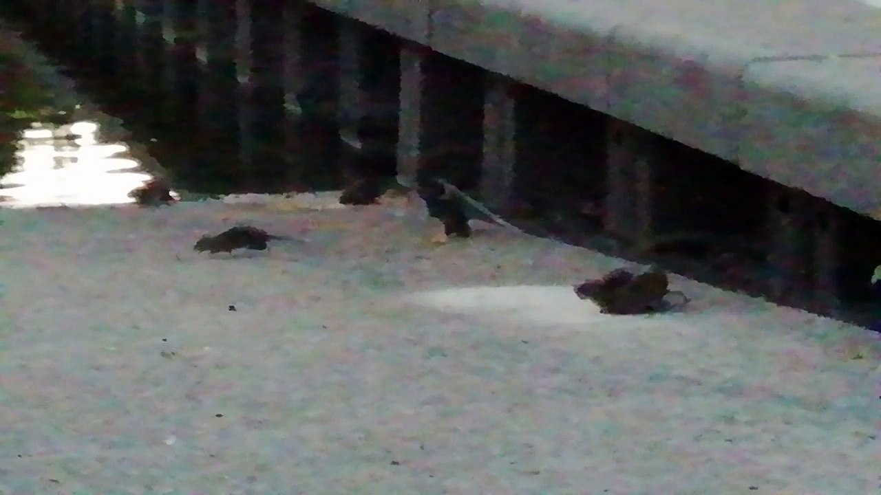 VID_20180919_201028
