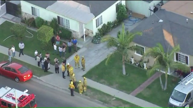 Woman Accused of Embezzling Funds From Cancer Center, Girl Scouts