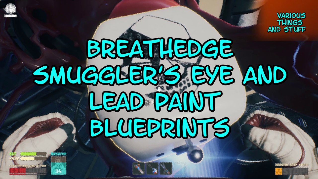 Breathedge Smuggler's Eye & Lead Paint Blueprint video Dailymotion