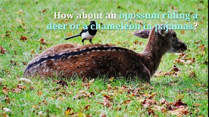 29 Wonders of Nature You Wouldn’t Think Existed