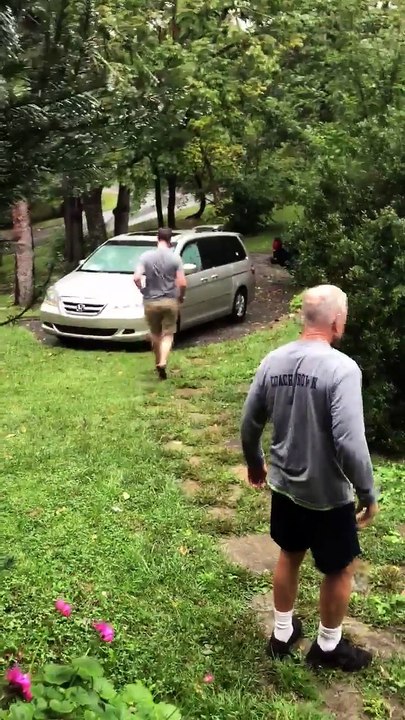 Bear Takes Over Van