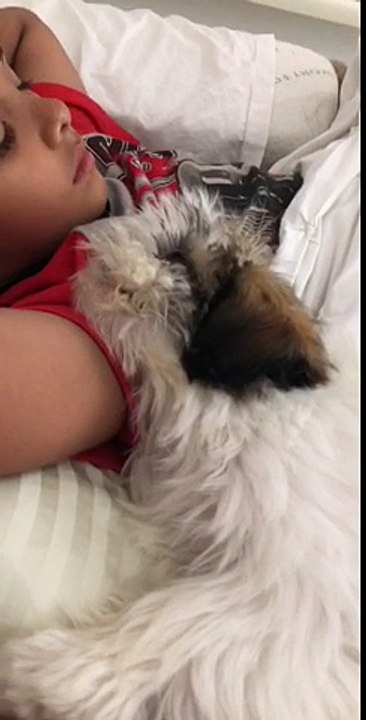 Cute puppy snoozes while cuddling