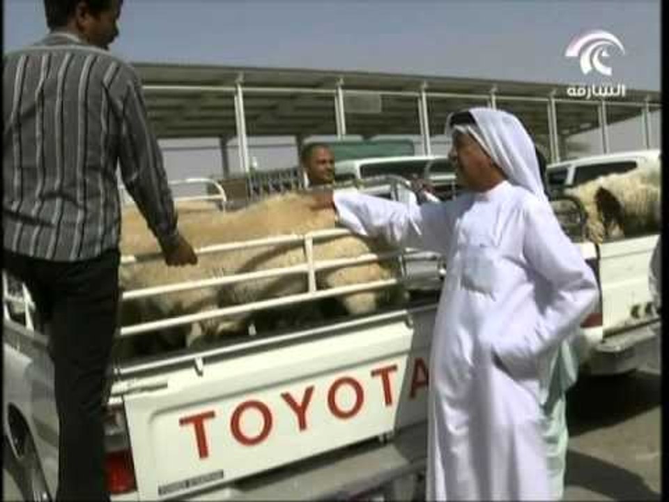 إستعدادات عيد الأضحى...بلدية الذيد تعلن جهوزية أسواقها لإستقبال الجمهور
