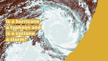 Is a hurricane a typhoon and is a cyclone a storm?